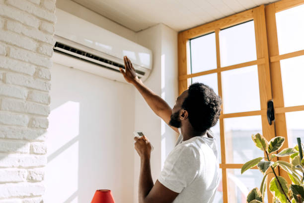 Best Air Conditioning Cleaning in Kenyon, MN